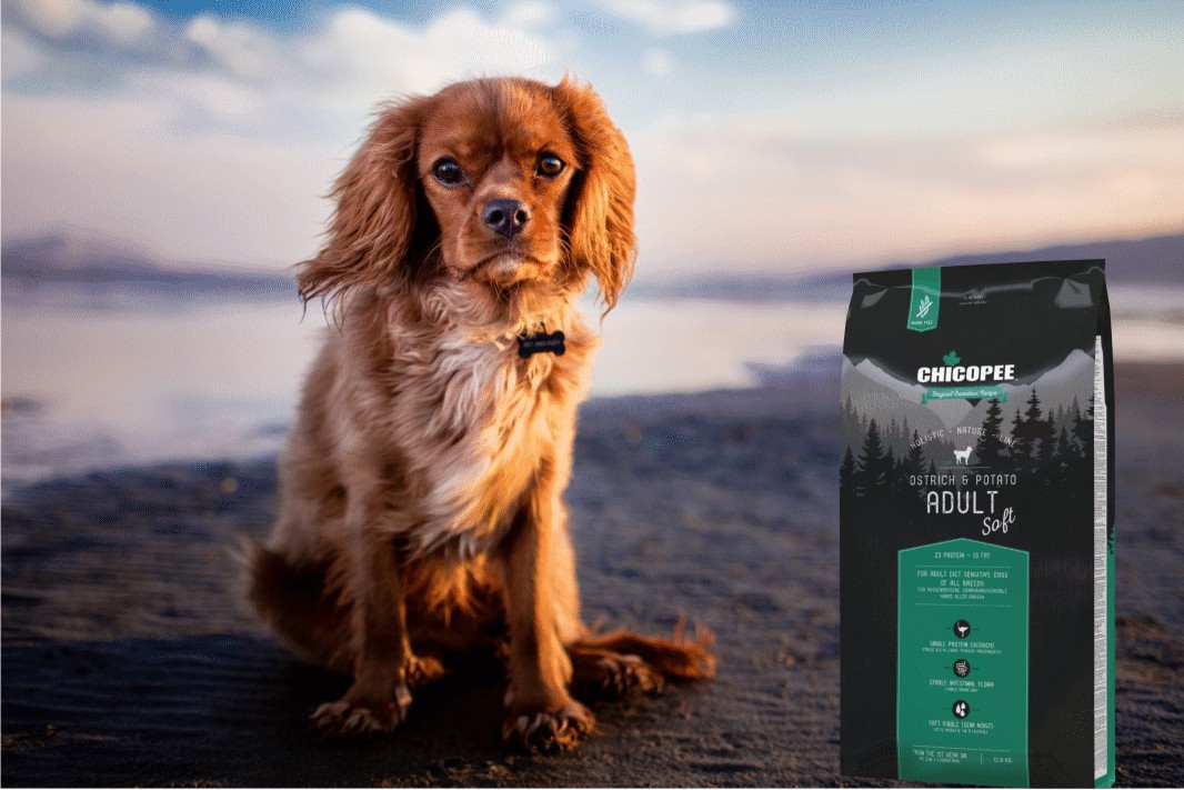 Обзор корма HNL софт страус