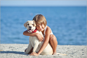 КАК ПУТЕШЕСТВОВАТЬ С ПИТОМЦАМИ